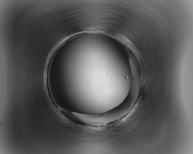 X0000089381196200706151158