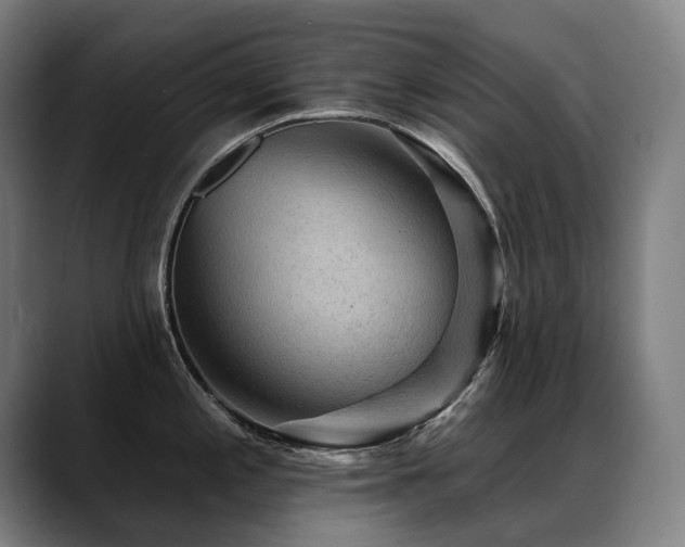 X0000089381197200706151158