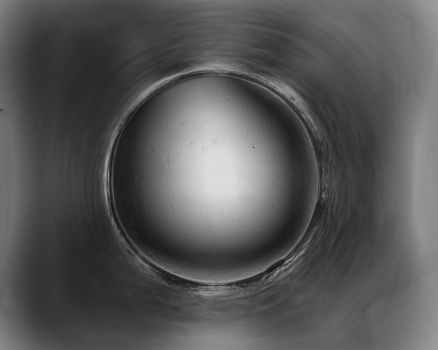 X0000089381199200706151158
