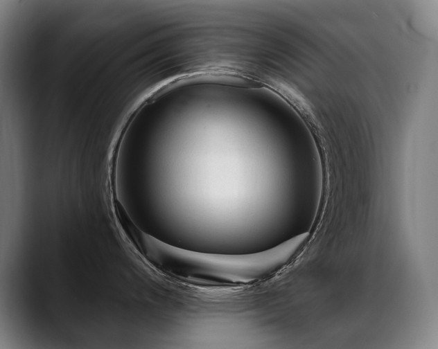 X0000089381200200706151158