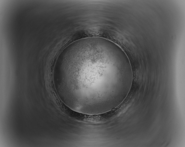 X0000089381201200706151158