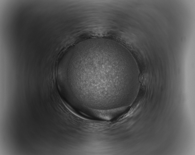 X0000089381202200706151158