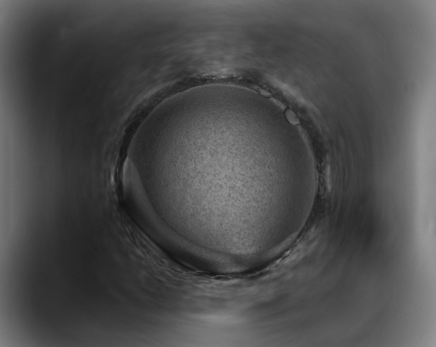 X0000089381206200706151158
