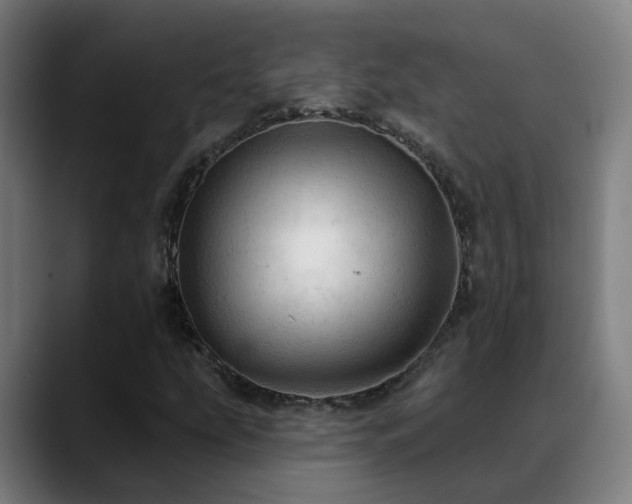 X0000089381207200706151158