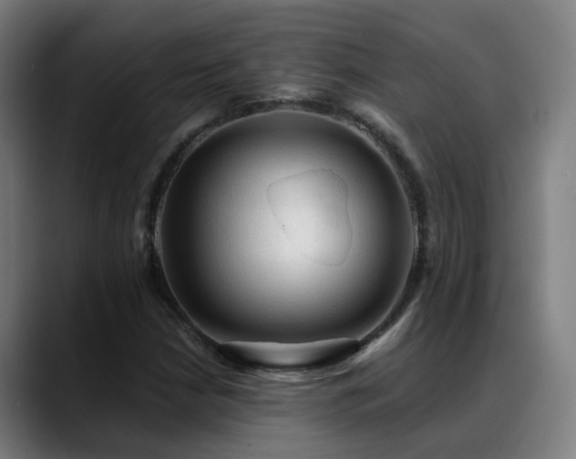 X0000089381210200706151158