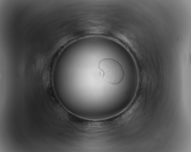 X0000089381211200706151158