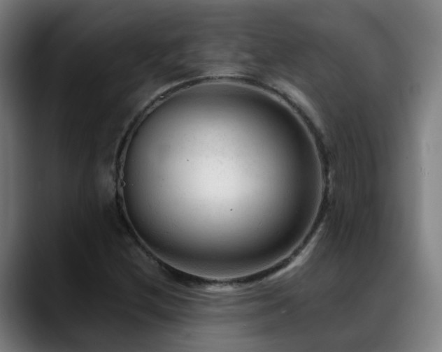 X0000089381212200706151158