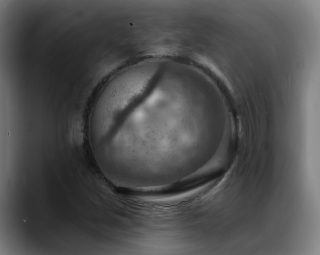 X0000089381213200706151158