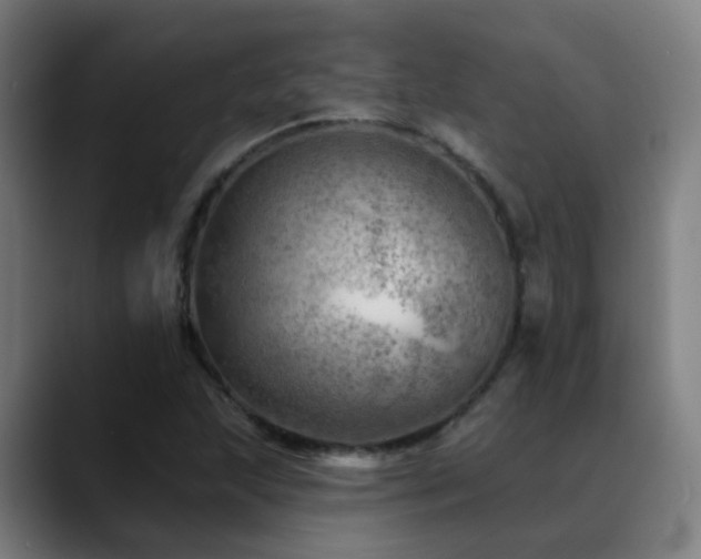 X0000089381215200706151158