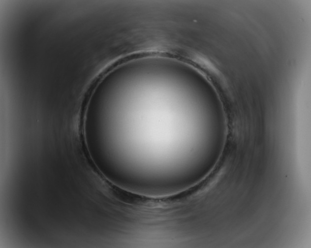 X0000089381216200706151158