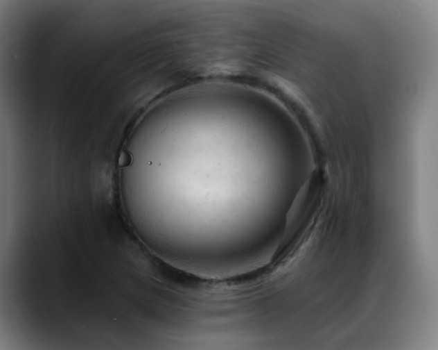 X0000089381217200706151158