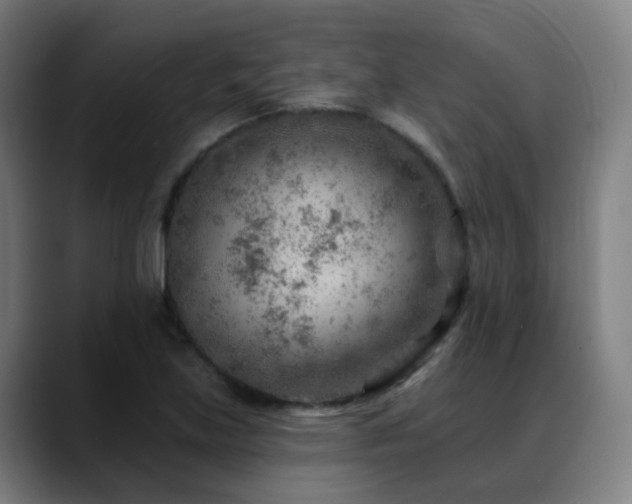 X0000089381219200706151158