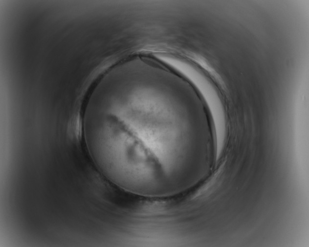 X0000089381221200706151158