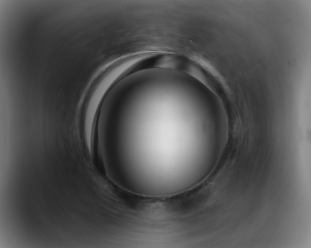 X0000089381222200706151158