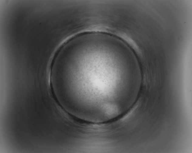 X0000089381224200706151158