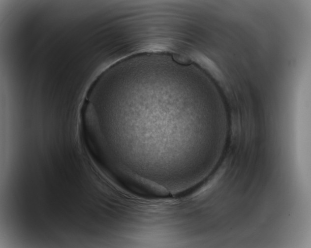 X0000089381226200706151158