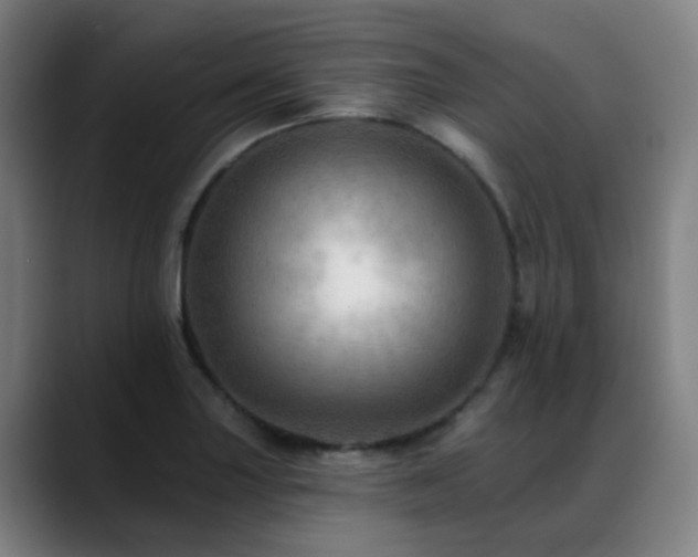 X0000089381227200706151158