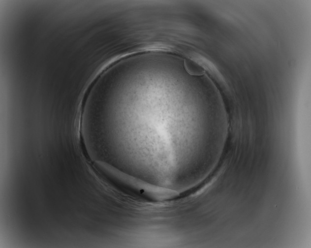 X0000089381228200706151158