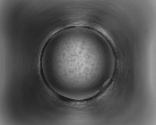 X0000089381229200706151158
