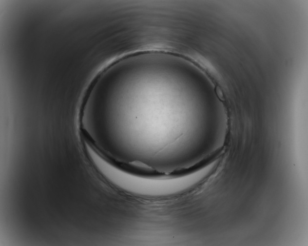 X0000089381230200706151158