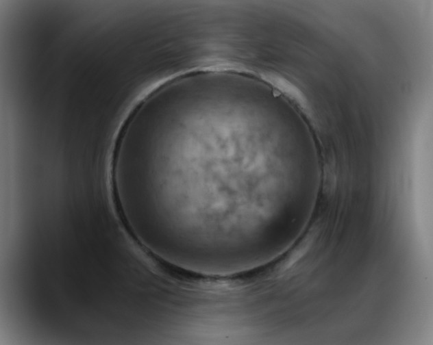 X0000089381231200706151158