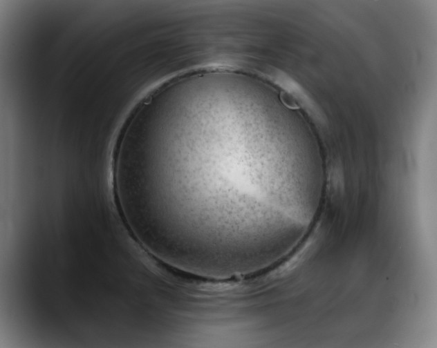 X0000089381232200706151158