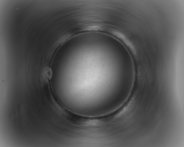 X0000089381233200706151158