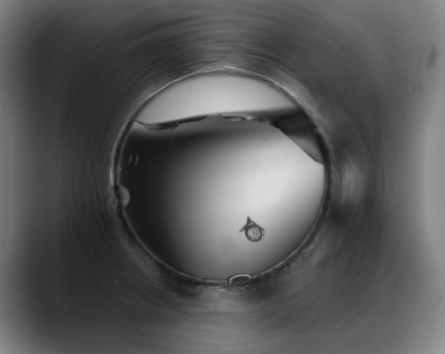 X0000089381234200706151158