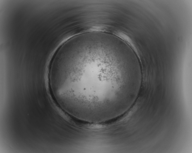 X0000089381235200706151158