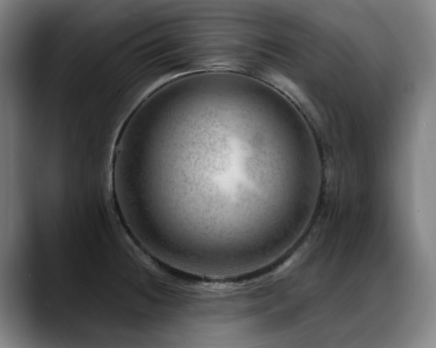 X0000089381236200706151158