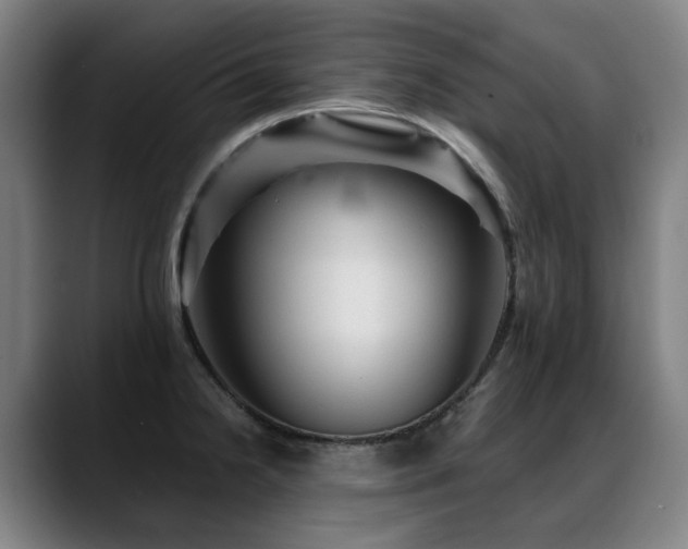 X0000089381238200706151158