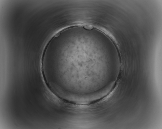 X0000089381239200706151158