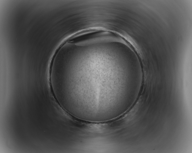 X0000089381240200706151158