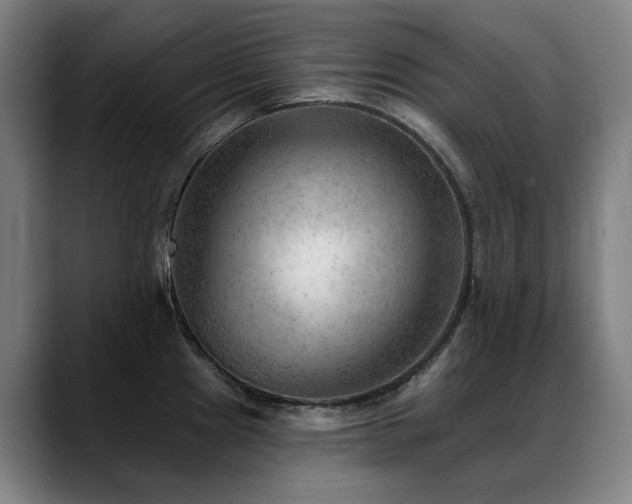 X0000089381241200706151158