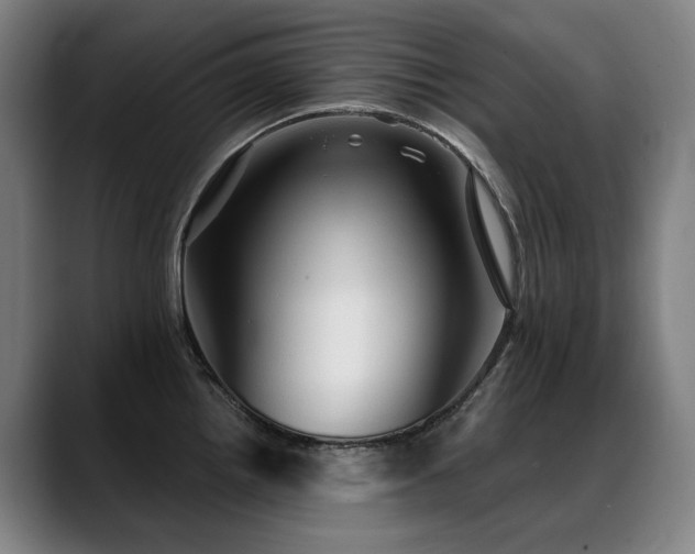 X0000089381242200706151158