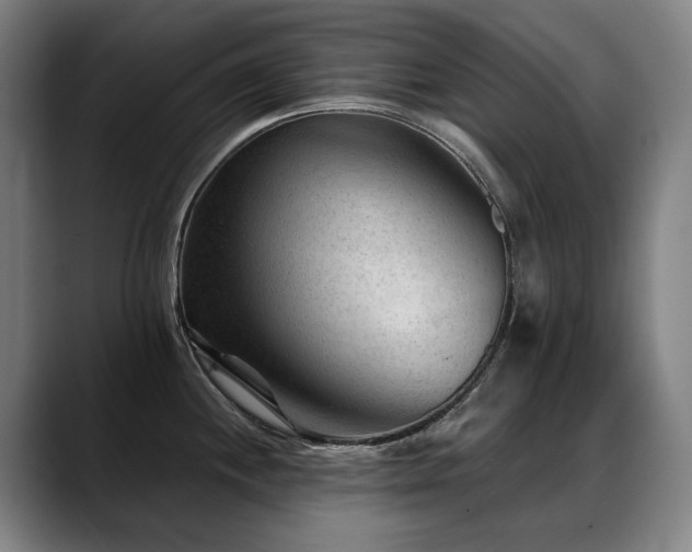 X0000089381244200706151158