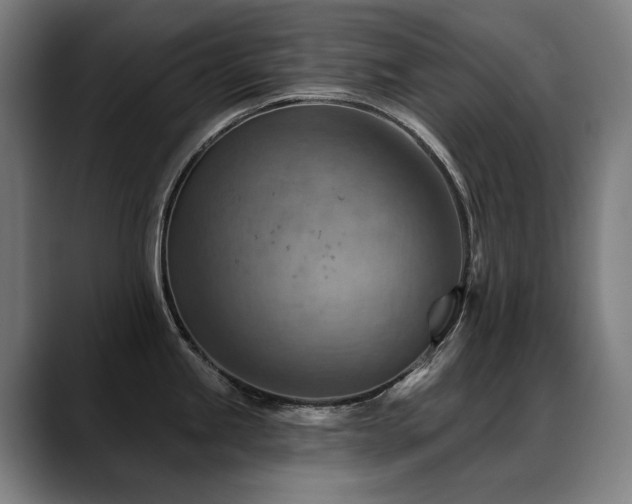 X0000089381245200706151158