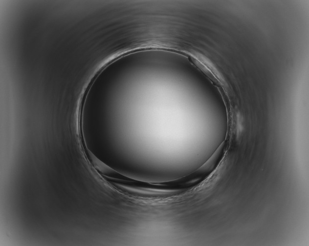 X0000089381246200706151158