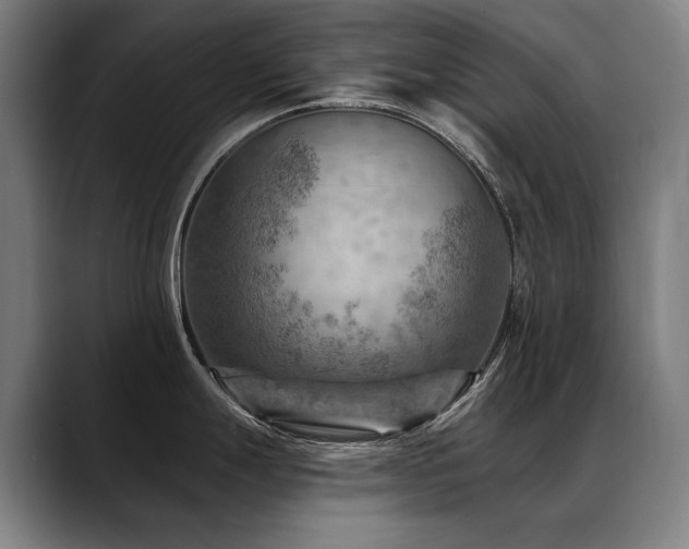 X0000089381247200706151158