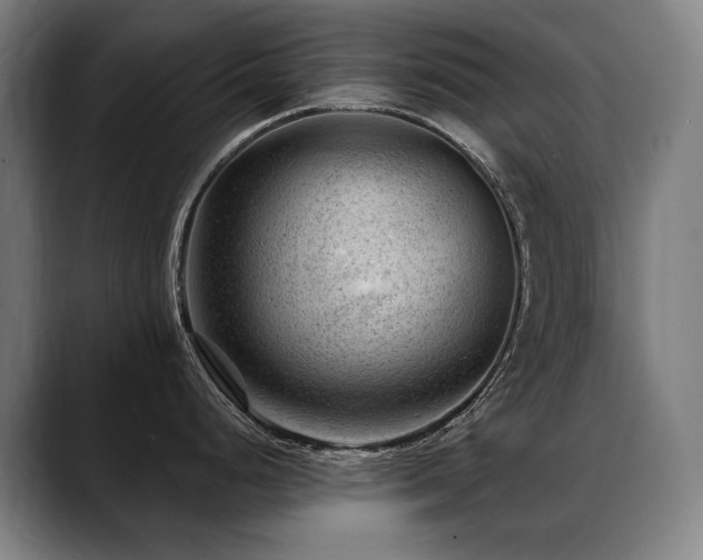X0000089381248200706151158