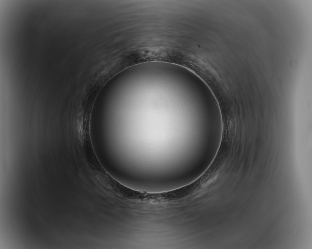 X0000089381250200706151158