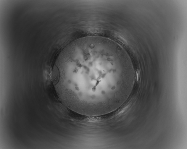 X0000089381251200706151158