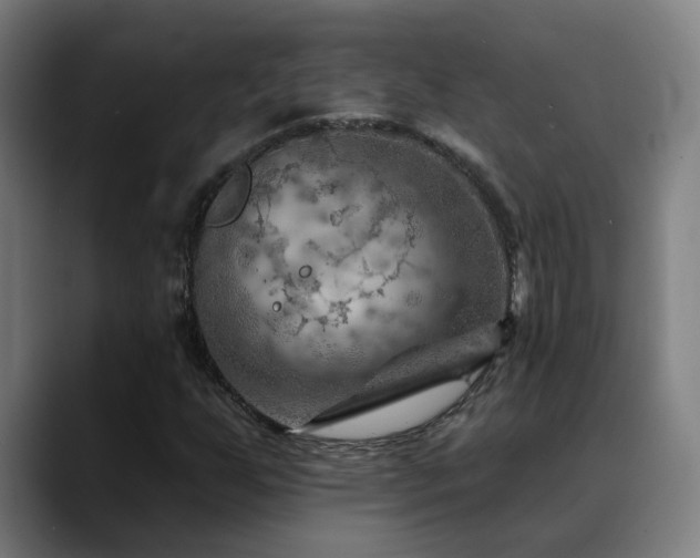 X0000089381255200706151158