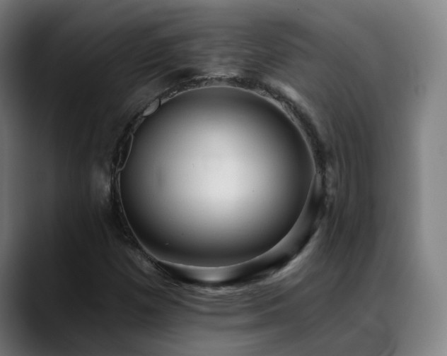 X0000089381257200706151158