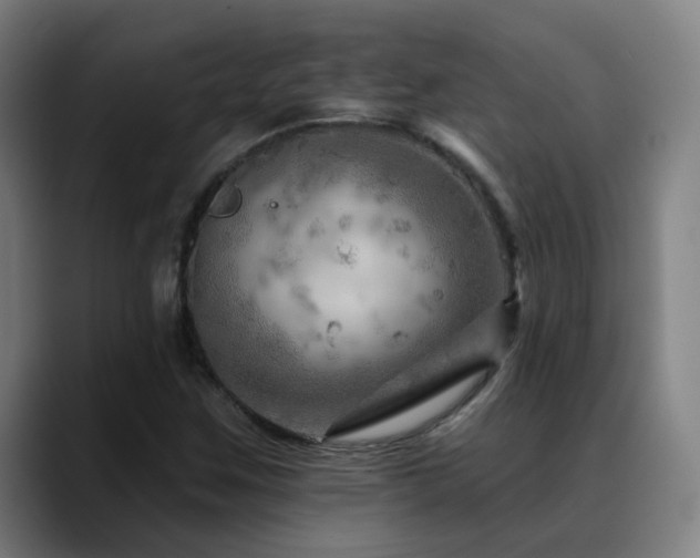 X0000089381259200706151158
