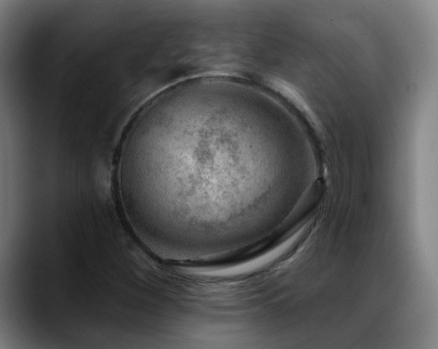 X0000089381260200706151158