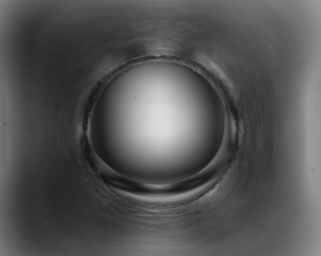 X0000089381261200706151158