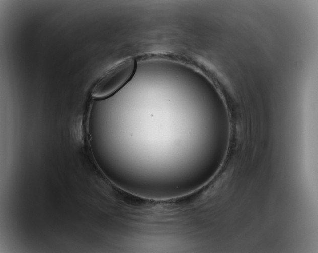 X0000089381262200706151158