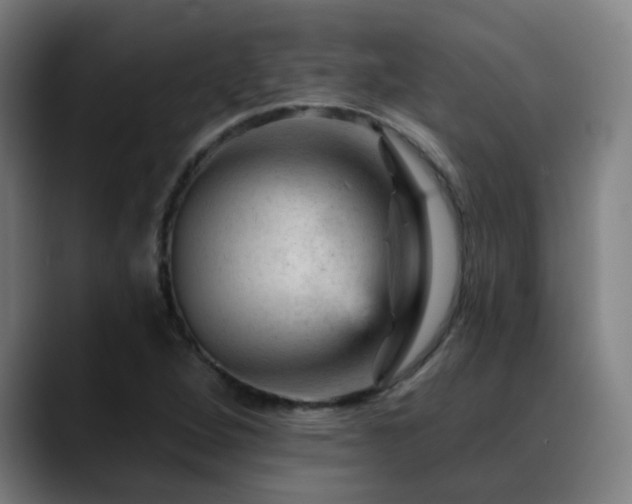X0000089381264200706151158
