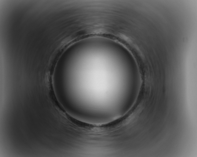 X0000089381265200706151158